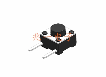 ZYA-1020