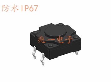 ZYA-3006